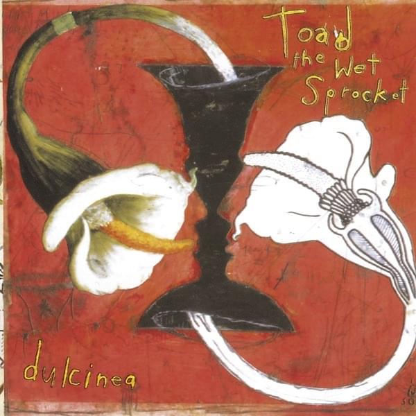 Fly from Heaven by Toad the Wet Sprocket