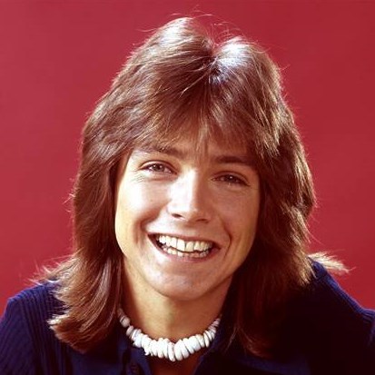 Cover image for David Cassidy