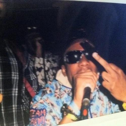 Album cover art for "Posh Revolution" by Metro Zu