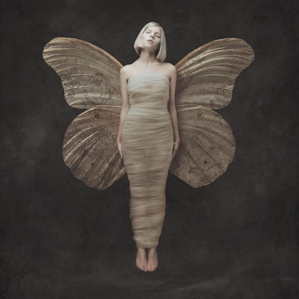 Cover image for All My Demons Greeting Me as a Friend (Deluxe)