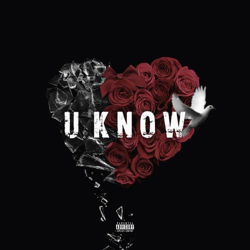 Album cover art for "U Know" by Abra Cadabra & Kush (OFB)
