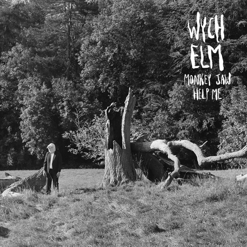 Cover image for Monkey Jaw / Help Me