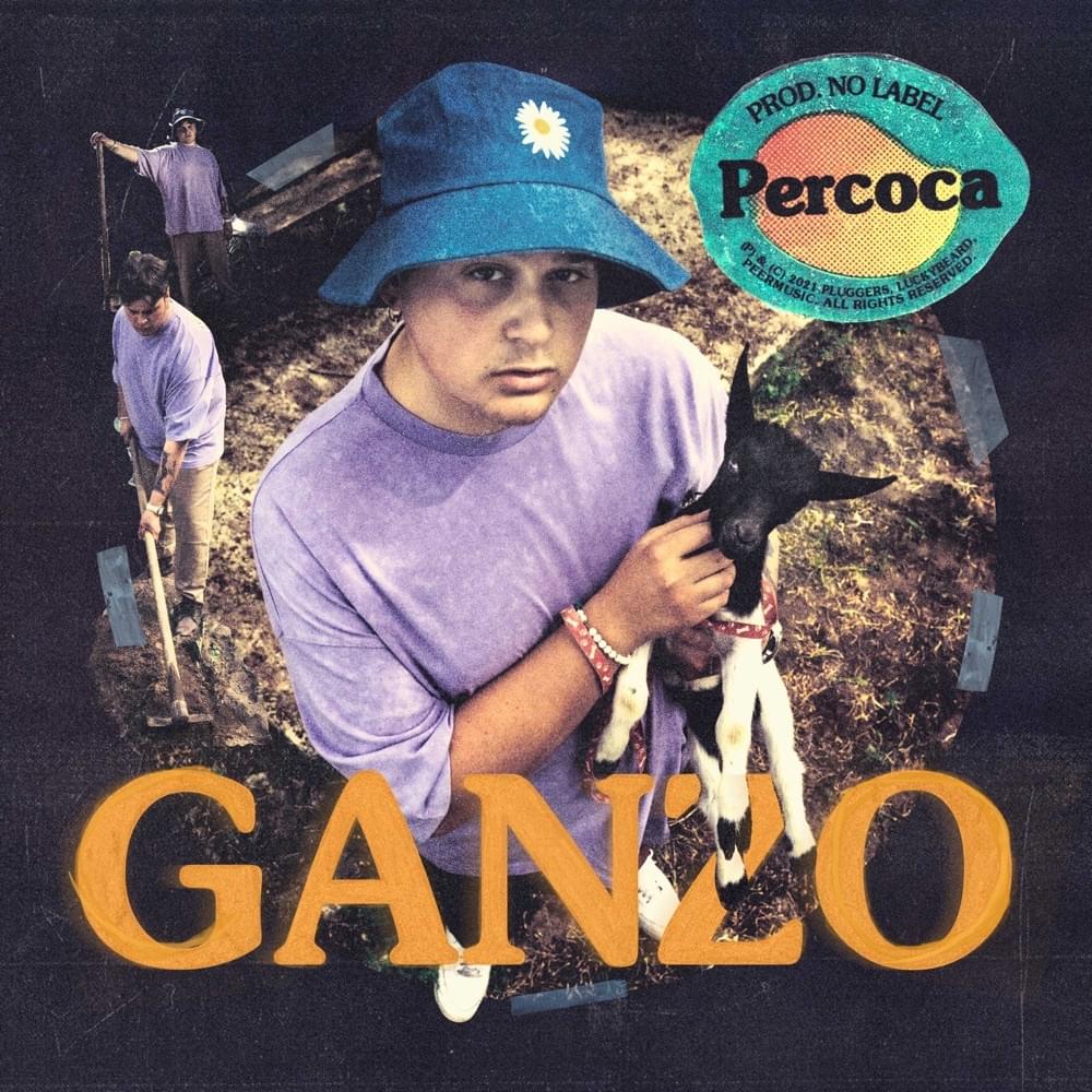 Percoca by Ganzo