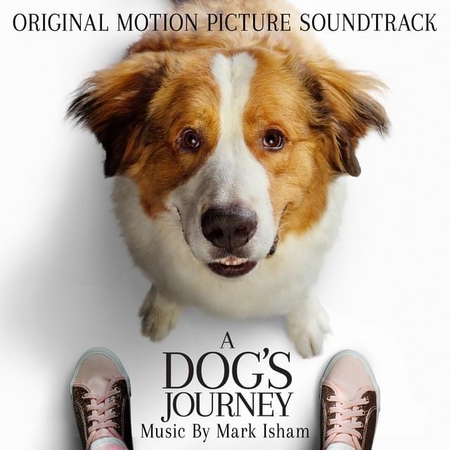 Cover image for A Dog’s Journey