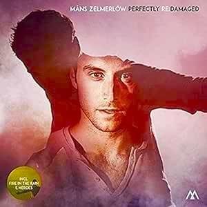 Cover image for Perfectly Re:Damaged