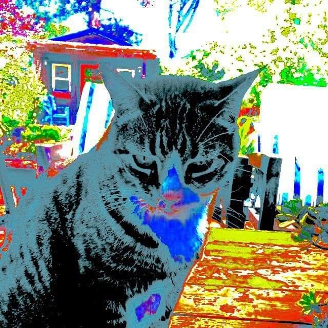 Album cover art for "How I’m Feeling Right Now" by Can of Bliss
