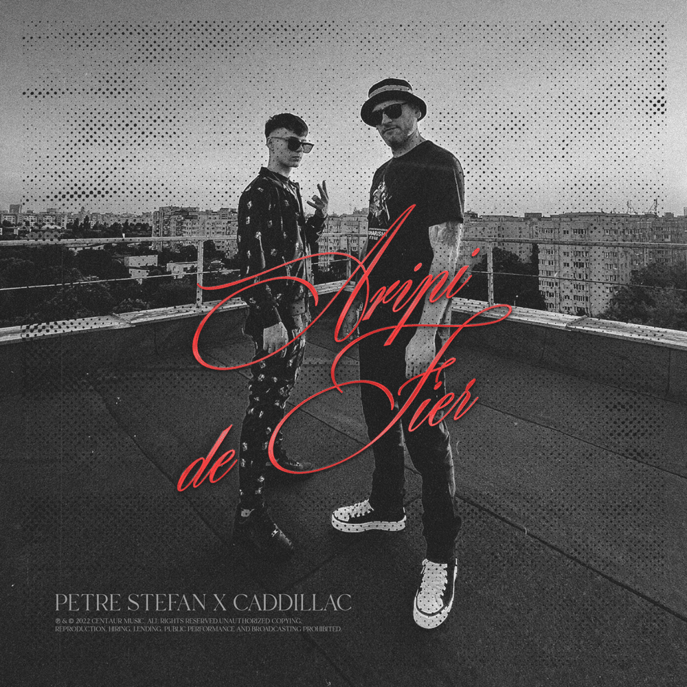 Album cover art for "Aripi de fier" by Petre Ștefan