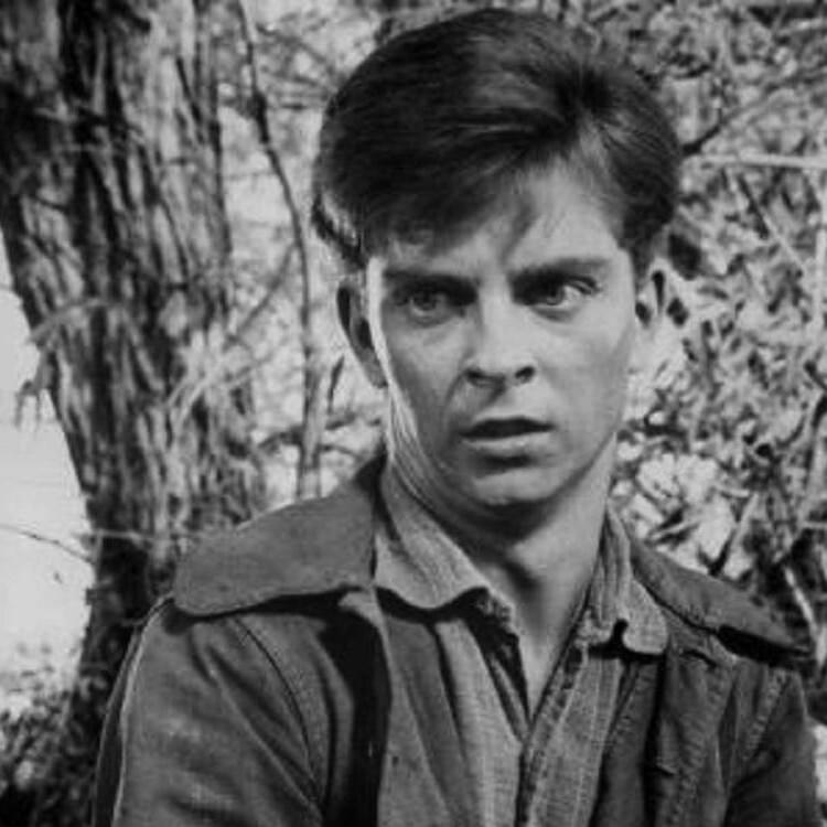 Photo of Tommy Rettig