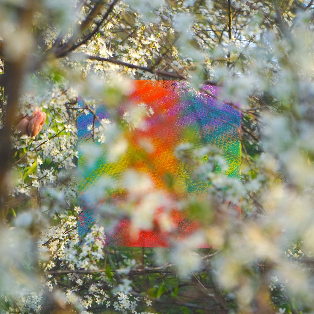 Album cover art for "Teenage Birdsong" by Four Tet