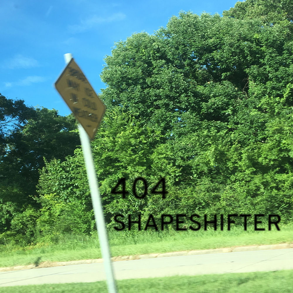 Album cover art for "Shapeshifter" by 404
