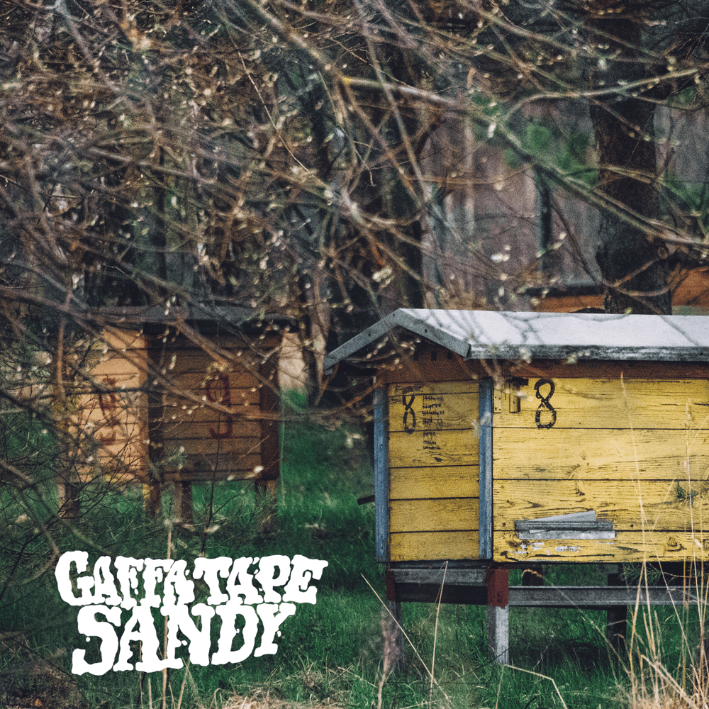 Album cover art for "Beehive" by Henry Homesweet