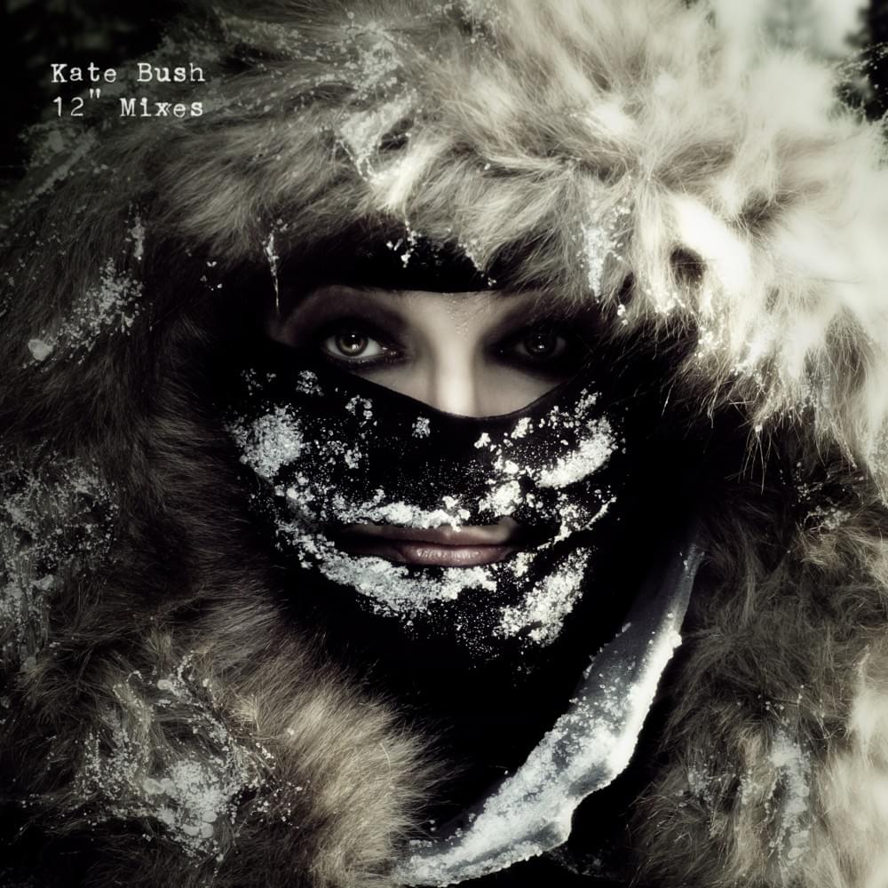 Cover image for 12" Mixes