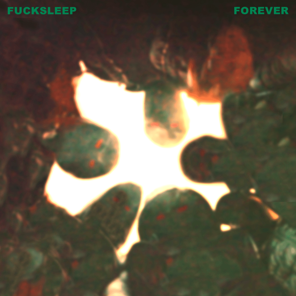 Cover image for FUCKSLEEP FOREVER