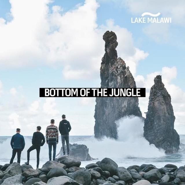 Bottom of the Jungle by Lake Malawi