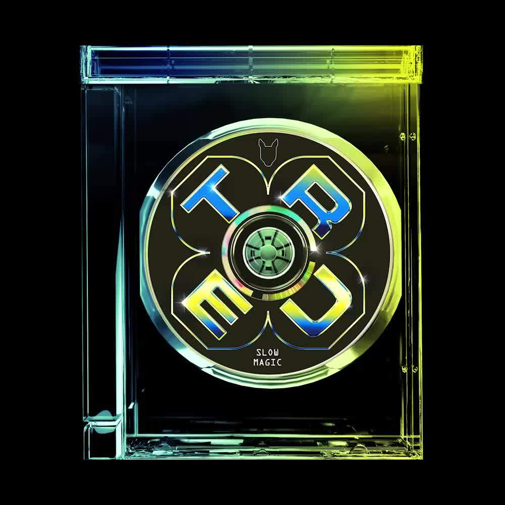 Album cover art for "True" by pluko