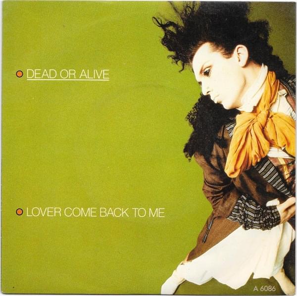 Lover Come Back To Me by Dead or Alive
