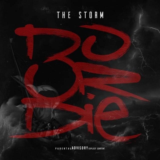 Cover image for THE STORM