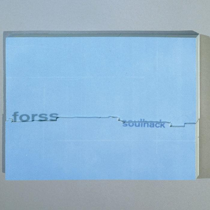 Album cover art for "Flickermood" by Forss