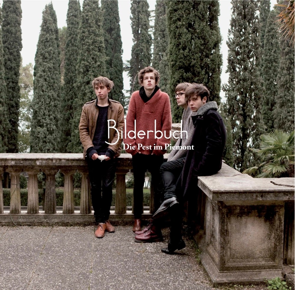 Album cover art for "Es wird Steine regnen" by Bilderbuch