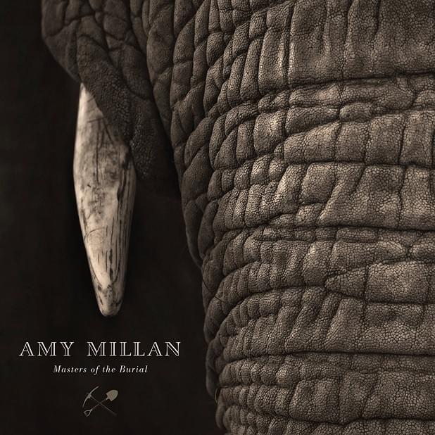Album cover art for "Towers" by Amy Millan