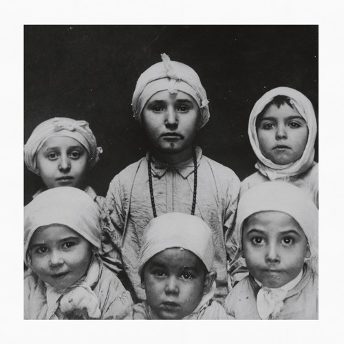 Cover image for Ellis
