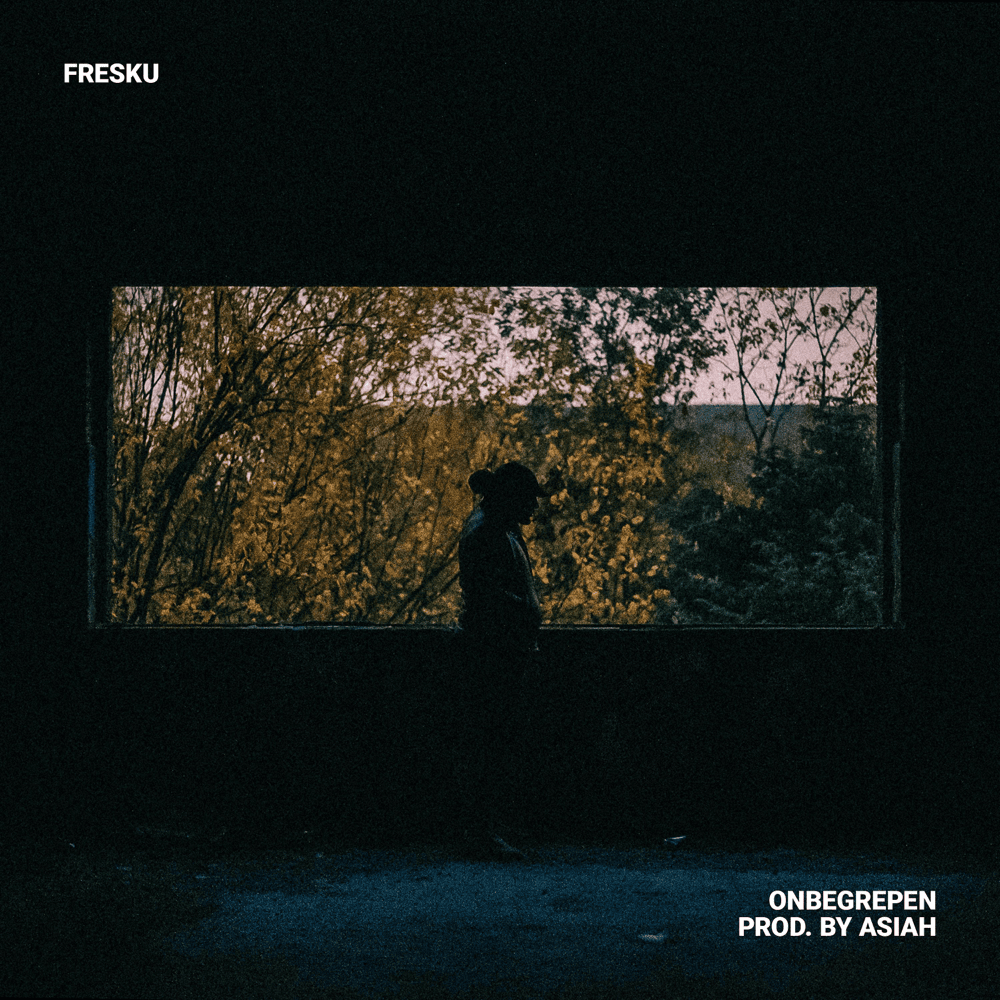 Album cover art for "Onbegrepen" by Fresku