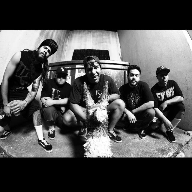 Cover image for Rotting Out