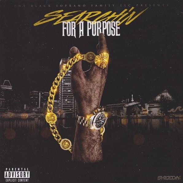 Cover image for Searchin For A Purpose