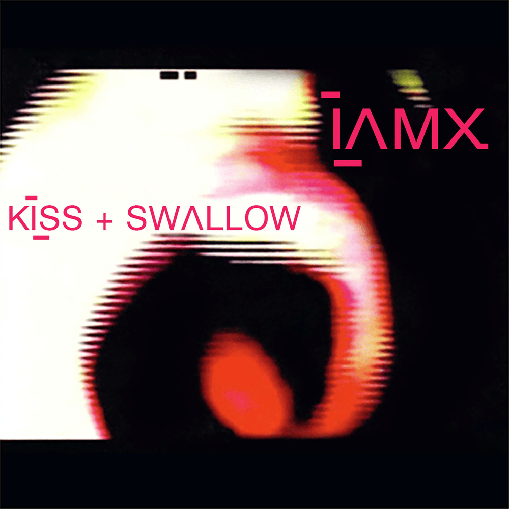 Cover image for Kiss + Swallow