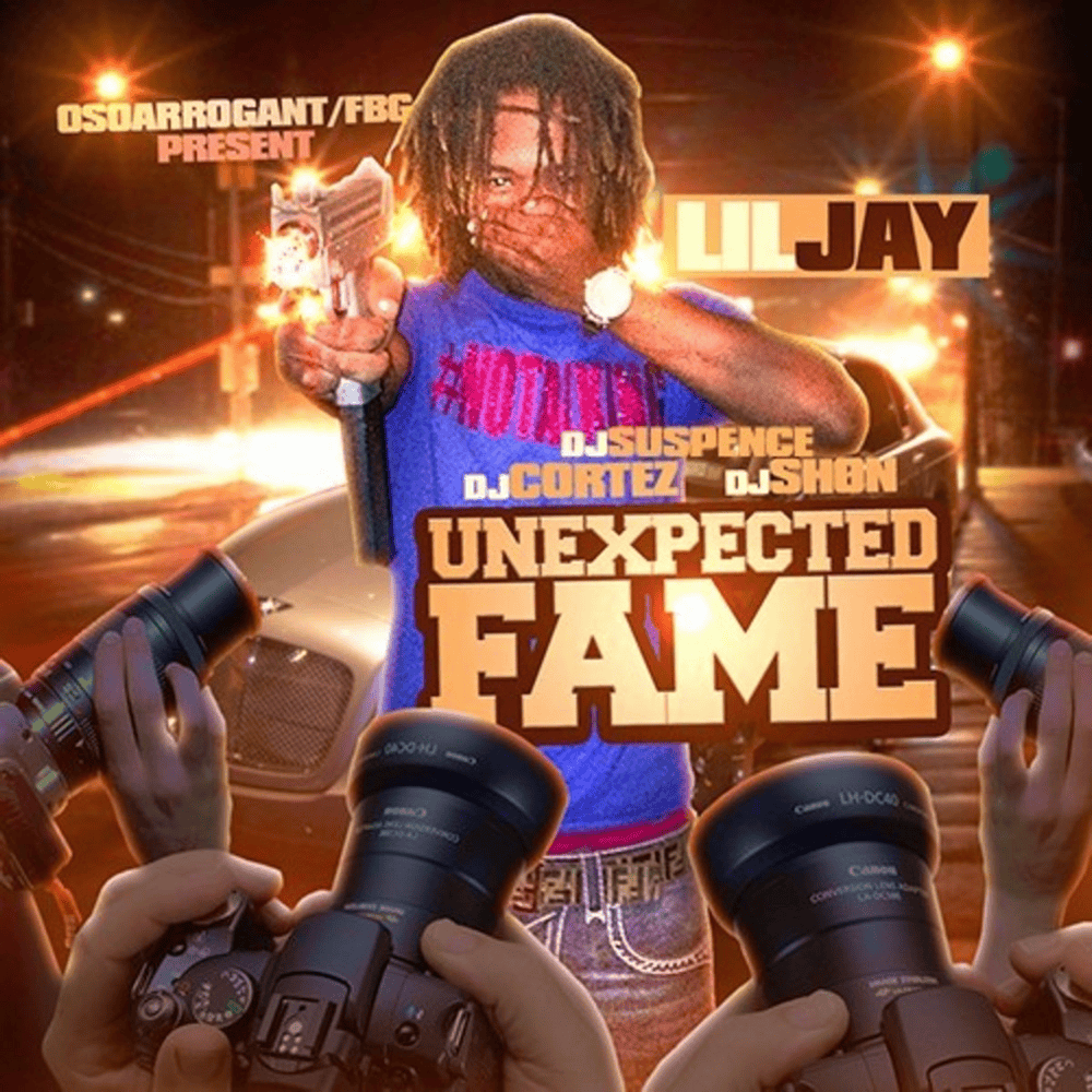 Cover image for Unexpected Fame