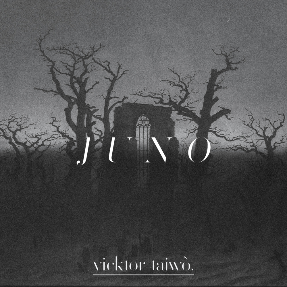 Album cover art for "Curse" by Vicktor Taiwò
