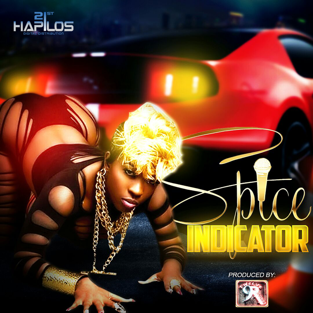 Album cover art for "Indicator" by Spice