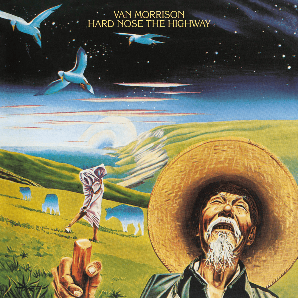 Album cover art for "Wild Children" by Van Morrison