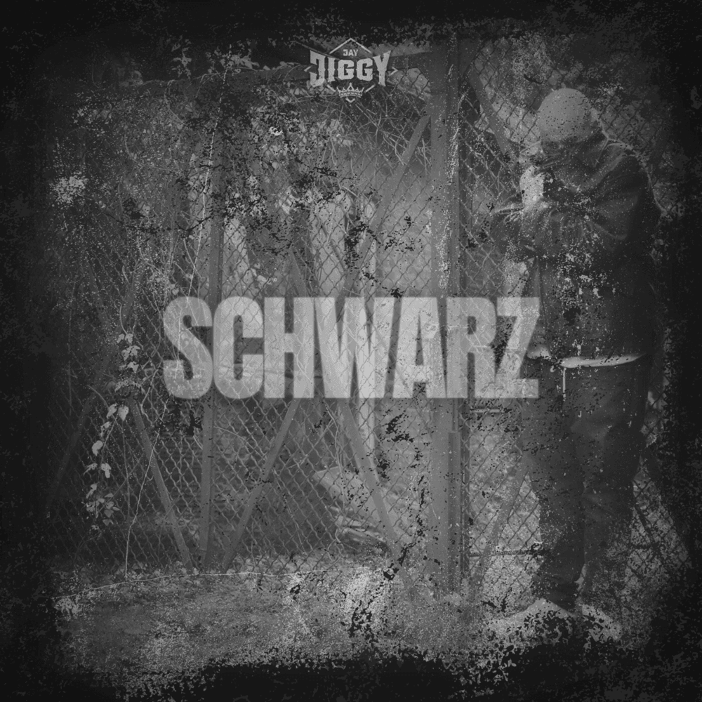 Album cover art for "Schwarz" by Jay Jiggy