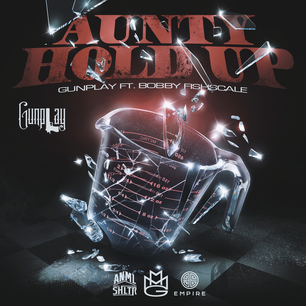 Album cover art for "Aunty Hold Up" by Gunplay
