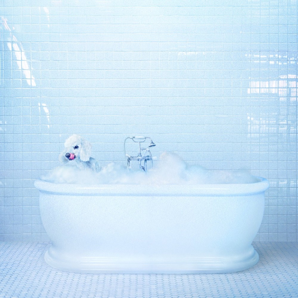 Cover image for Vessel