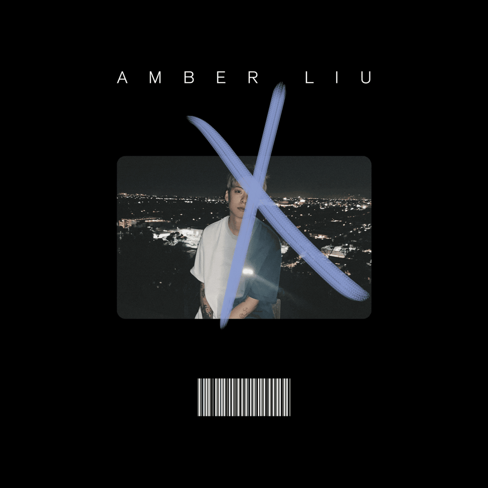 Cover image for X