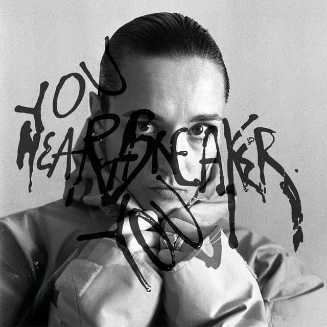Cover image for You Heartbreaker You