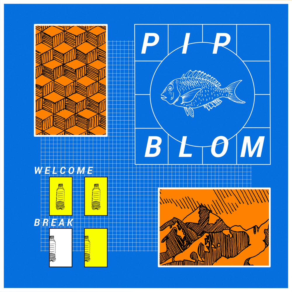 Album cover art for "Different Tune" by Pip Blom