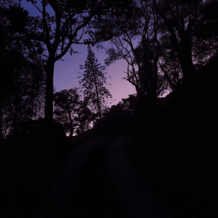 one year has passed (look at all we’ve been through) by ​colours in the dark