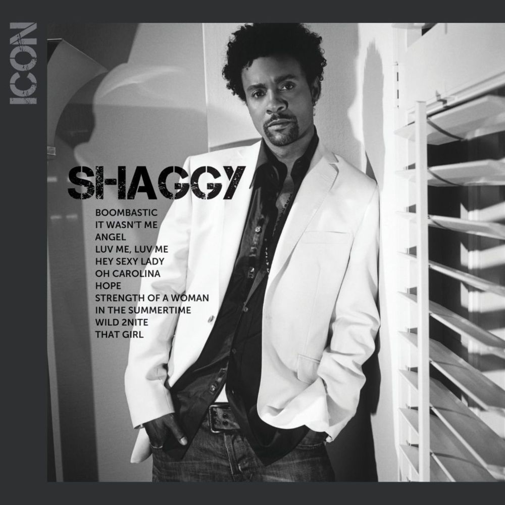 Cover image for Icon