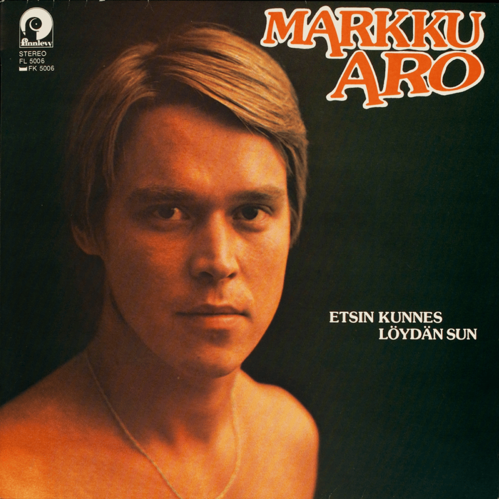 Cover image for Etsin kunnes löydän sun