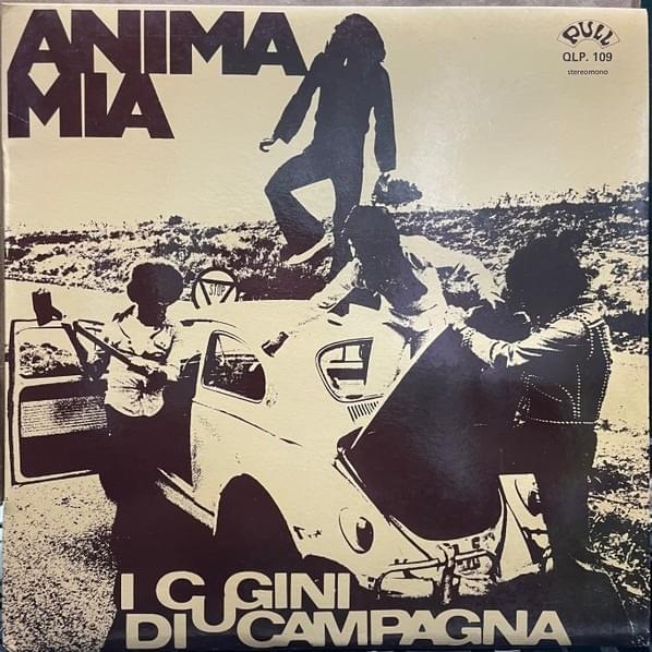 Cover image for Anima Mia