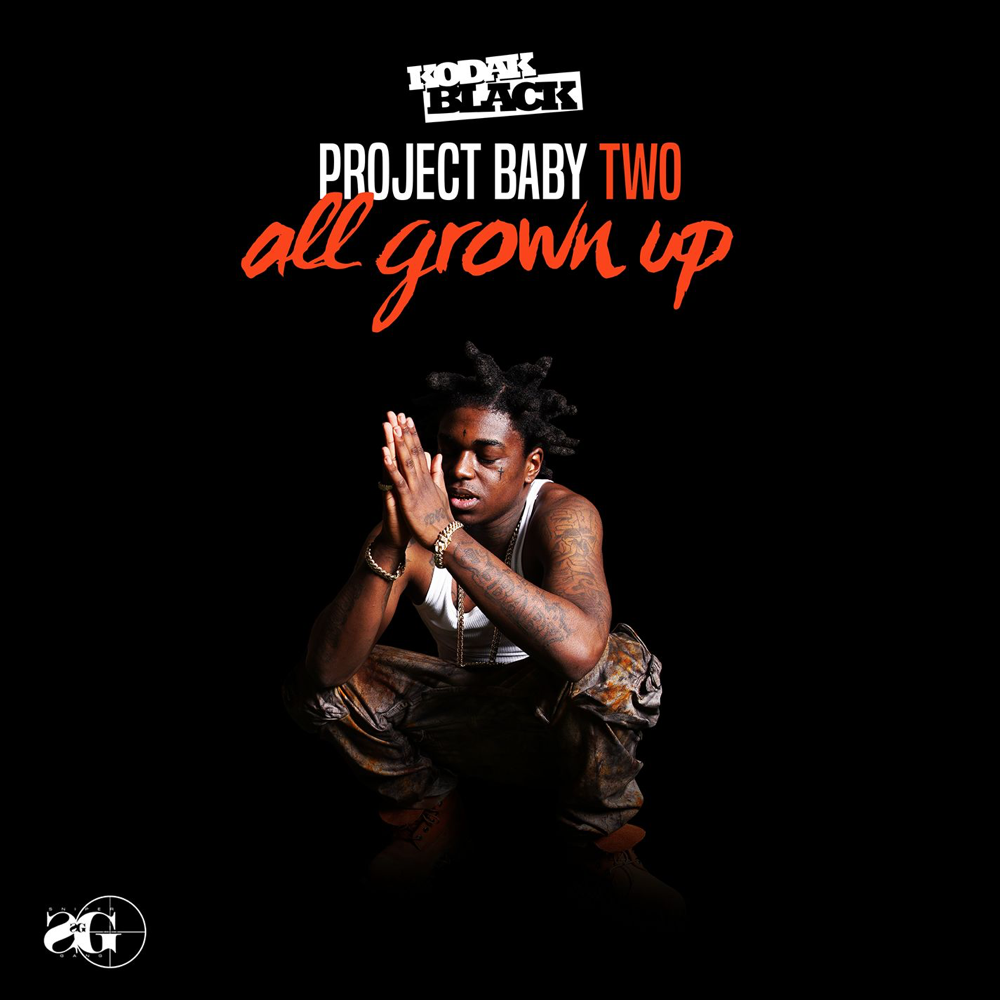 Cover image for Project Baby 2: All Grown Up