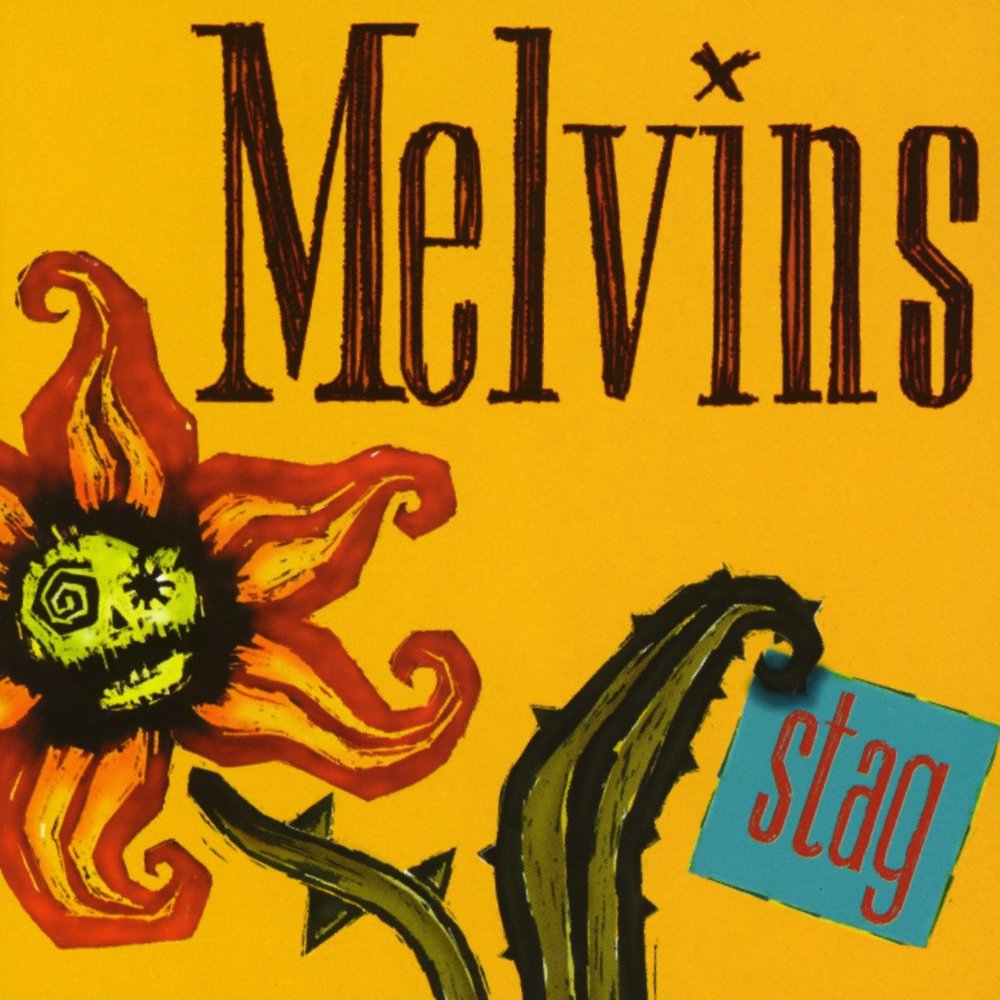 Cover image for Stag