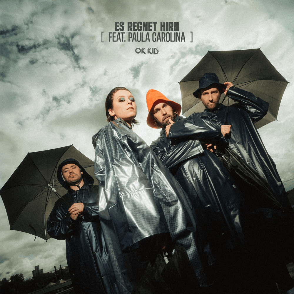 Album cover art for "Es regnet Hirn (EWDWEB)" by OK KID & Paula Carolina