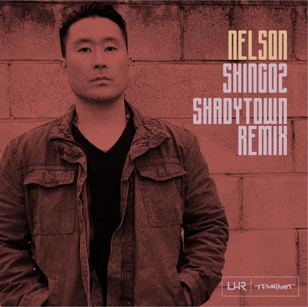 Album cover art for "Shadytown (Remix)" by Shing02