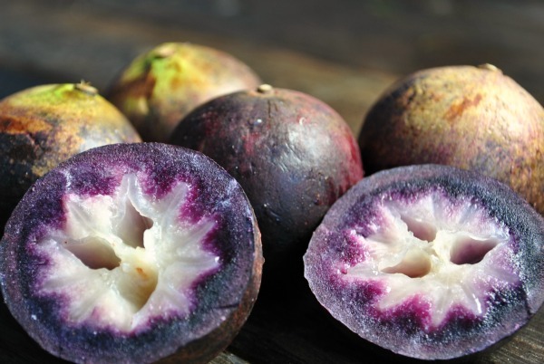 The Star-Apple Kingdom by Derek Walcott