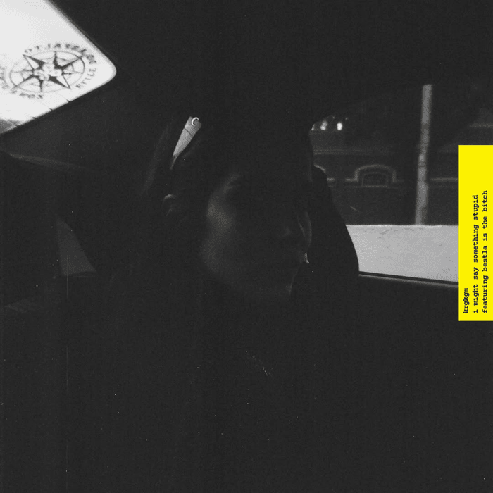 Album cover art for "I might say something stupid featuring bestla is the bitch" by KRGKGM & Bestla is the Bitch