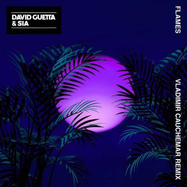 Album cover art for "Flames (Vladimir Cauchemar Remix)" by David Guetta